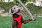 Preview: DOOG Family Stick Neu - Twiggy Preview: DOOG Family Stick Neu - Twiggy